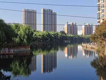 澳門管家婆四肖選一肖期期準(zhǔn),澳門管家婆四肖選一肖期期準(zhǔn)：精準(zhǔn)預(yù)測(cè)與策略揭秘