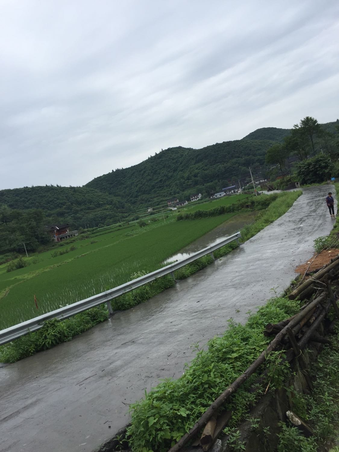 嘉陵村委會最新天氣預(yù)報及多方面信息解讀，嘉陵村委會天氣預(yù)報解讀與多方信息概覽