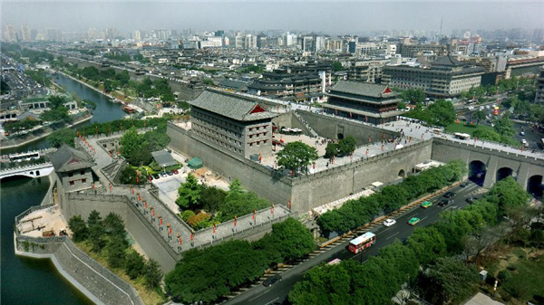 西安市園林管理局最新項(xiàng)目，重塑古都綠色生態(tài)之美，西安市園林管理局重塑古都綠色生態(tài)新篇章