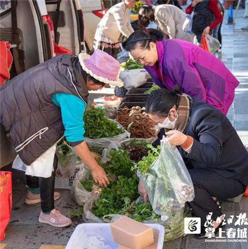 雄達(dá)村最新發(fā)展規(guī)劃，塑造未來繁榮藍(lán)圖，雄達(dá)村未來繁榮藍(lán)圖，最新發(fā)展規(guī)劃揭秘