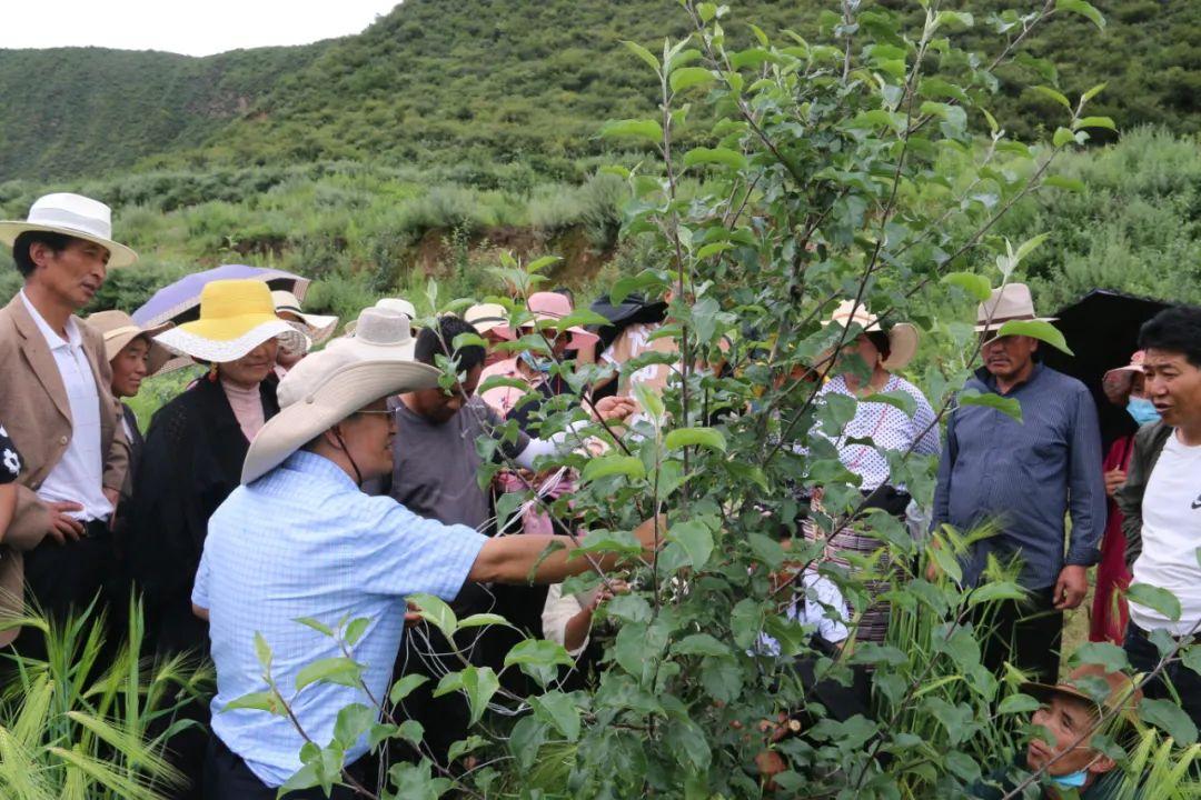 列瓦村最新項目，探索鄉(xiāng)村發(fā)展的新時代，列瓦村新項目，探索鄉(xiāng)村發(fā)展的新時代之路