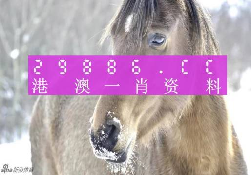 一肖一碼100%準(zhǔn)資料／精準(zhǔn)生肖碼獨(dú)家揭秘