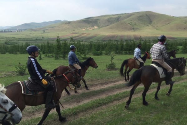 2025澳門特馬今晚開獎165,2025澳門特馬今晚開獎165：最新開獎結(jié)果揭曉