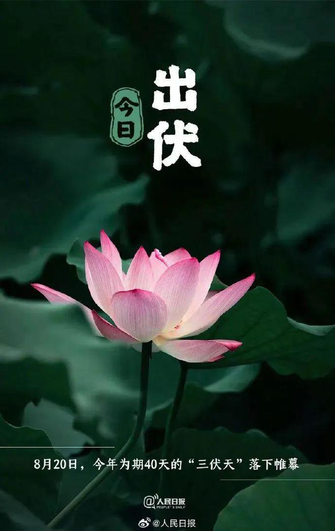 夏辭最新，探索時(shí)尚潮流與獨(dú)特魅力的交匯點(diǎn)，夏辭最新風(fēng)尚，時(shí)尚潮流與獨(dú)特魅力的完美融合