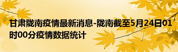 隴南最新疫情狀況，全面更新的信息匯總與應(yīng)對策略，隴南最新疫情全面匯總與應(yīng)對策略