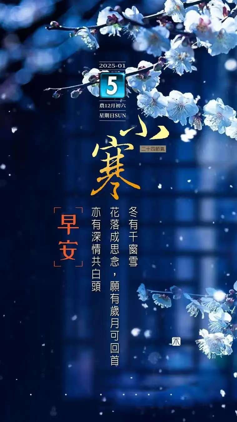 最新小寒圖片欣賞，寒冬之美的獨(dú)特展現(xiàn)，小寒圖片精選，寒冬之美的獨(dú)特展現(xiàn)