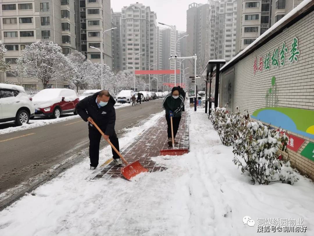 最新銅煤市場動態(tài)與行業(yè)趨勢分析，銅煤市場動態(tài)與行業(yè)趨勢深度解析